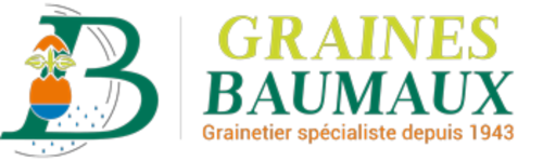 Graine Baumaux